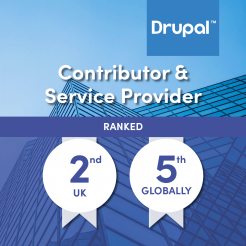 Leading Drupal developers