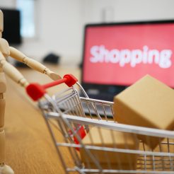 Shopping trolley being pushed by wooden figure