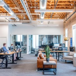 Software development consultancy office