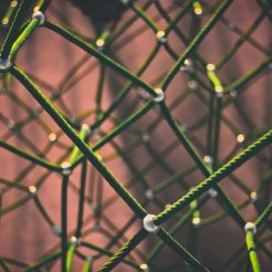 A network of rope connected together