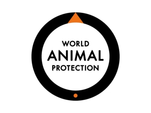 world animal protection